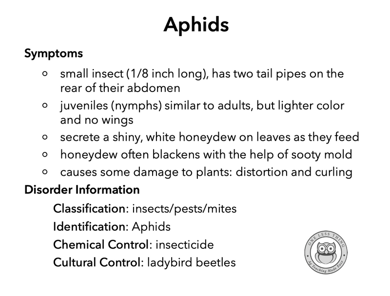 Load image into Gallery viewer, Horticulture Disorders ID, IDPix Cards
