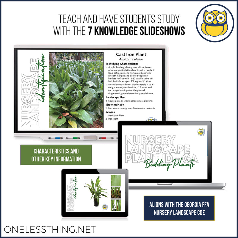 Load image into Gallery viewer, Nursery Landscape ID Georgia, POWERPOINT Downloads
