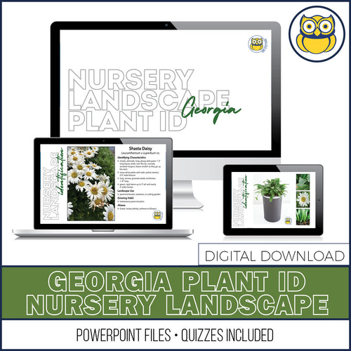 Nursery Landscape ID Georgia, POWERPOINT Downloads
