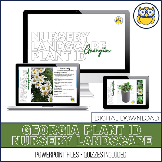Nursery Landscape ID Georgia, POWERPOINT Downloads