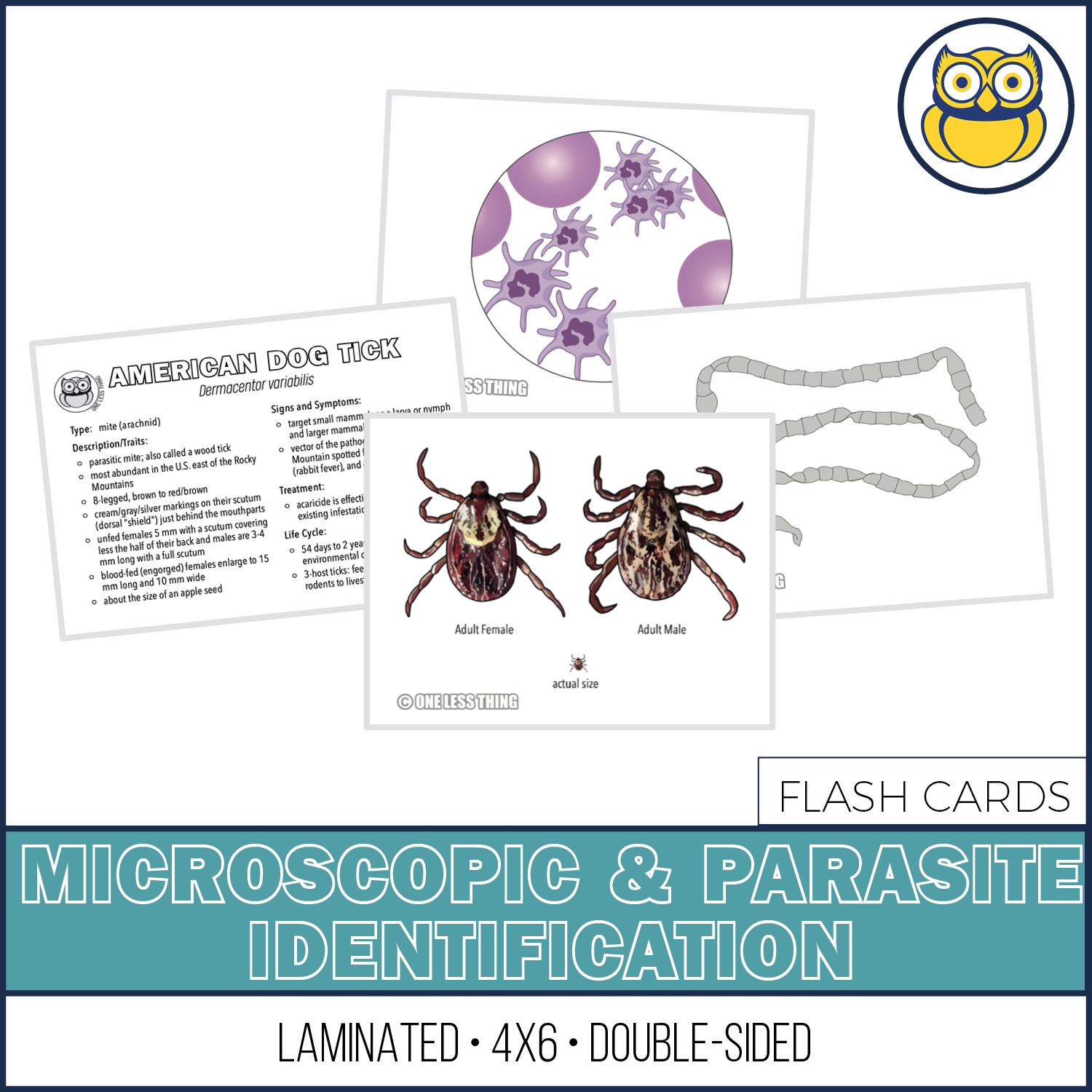 Parasite Identification Guide Vet Science Microscopic and Parasite ID, LAMINATED CARDS – One Less Thing
