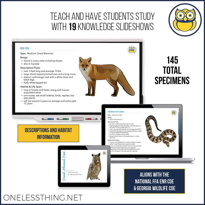 Load image into Gallery viewer, Wildlife Identification, POWERPOINT downloads
