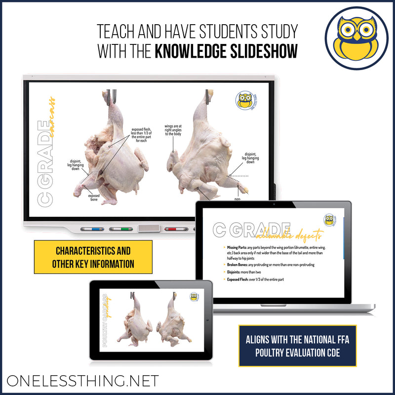 Load image into Gallery viewer, Poultry Judging Carcass Grading Practice, POWERPOINT Downloads (REVISED)
