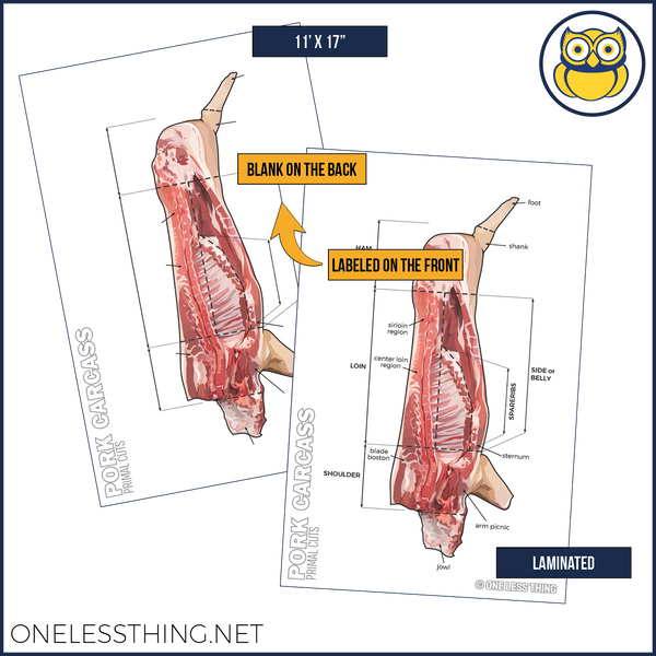 Meats Judging Carcass Anatomy, 5 Poster Set - One Less Thing