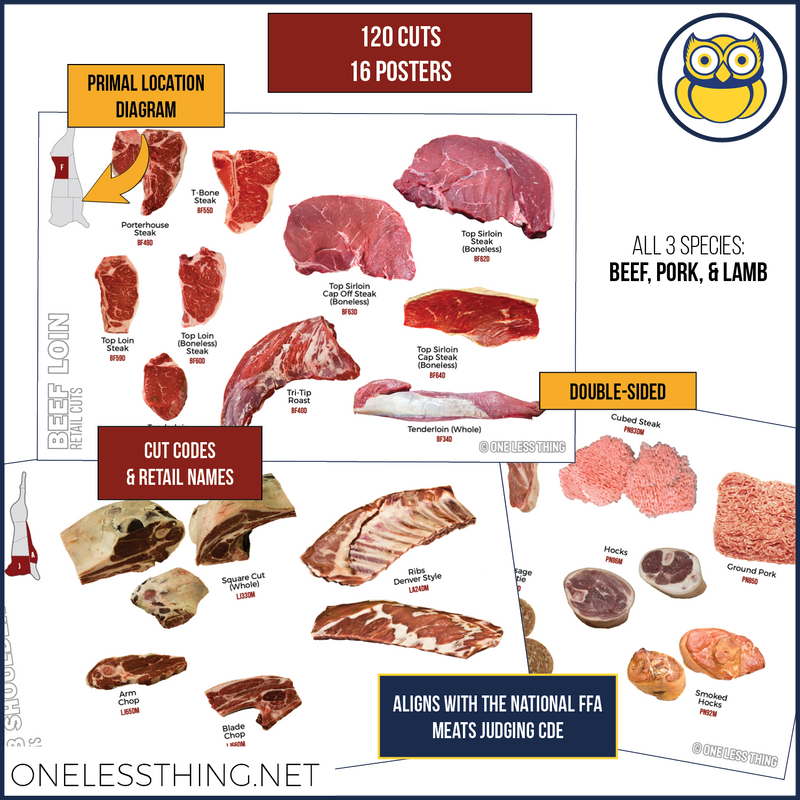 Load image into Gallery viewer, Meats Judging RETAIL ID, 16 Poster Set
