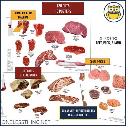 Meats Judging RETAIL ID, 16 Poster Set