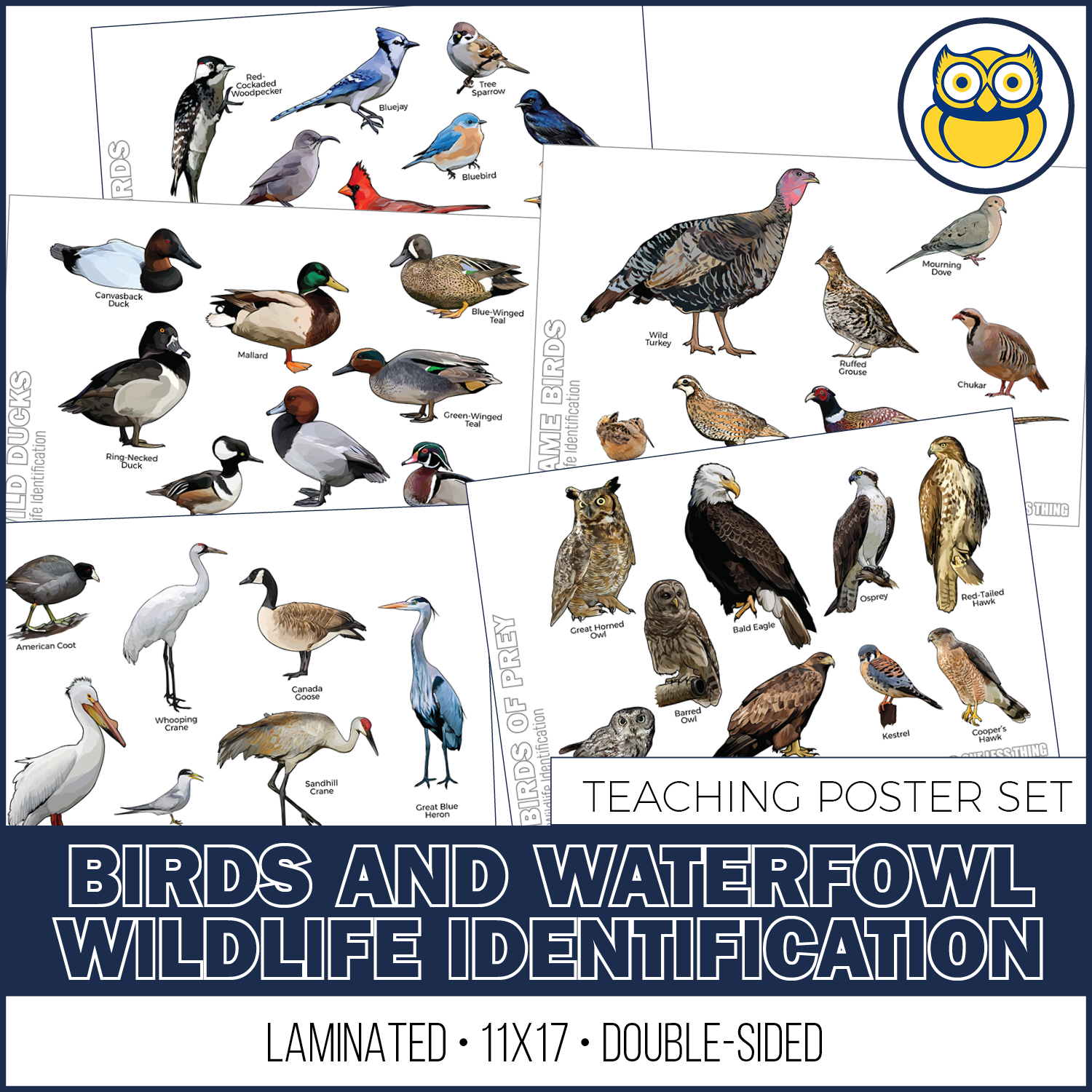 Wildlife ID Birds Posters, Set of 5 – One Less Thing