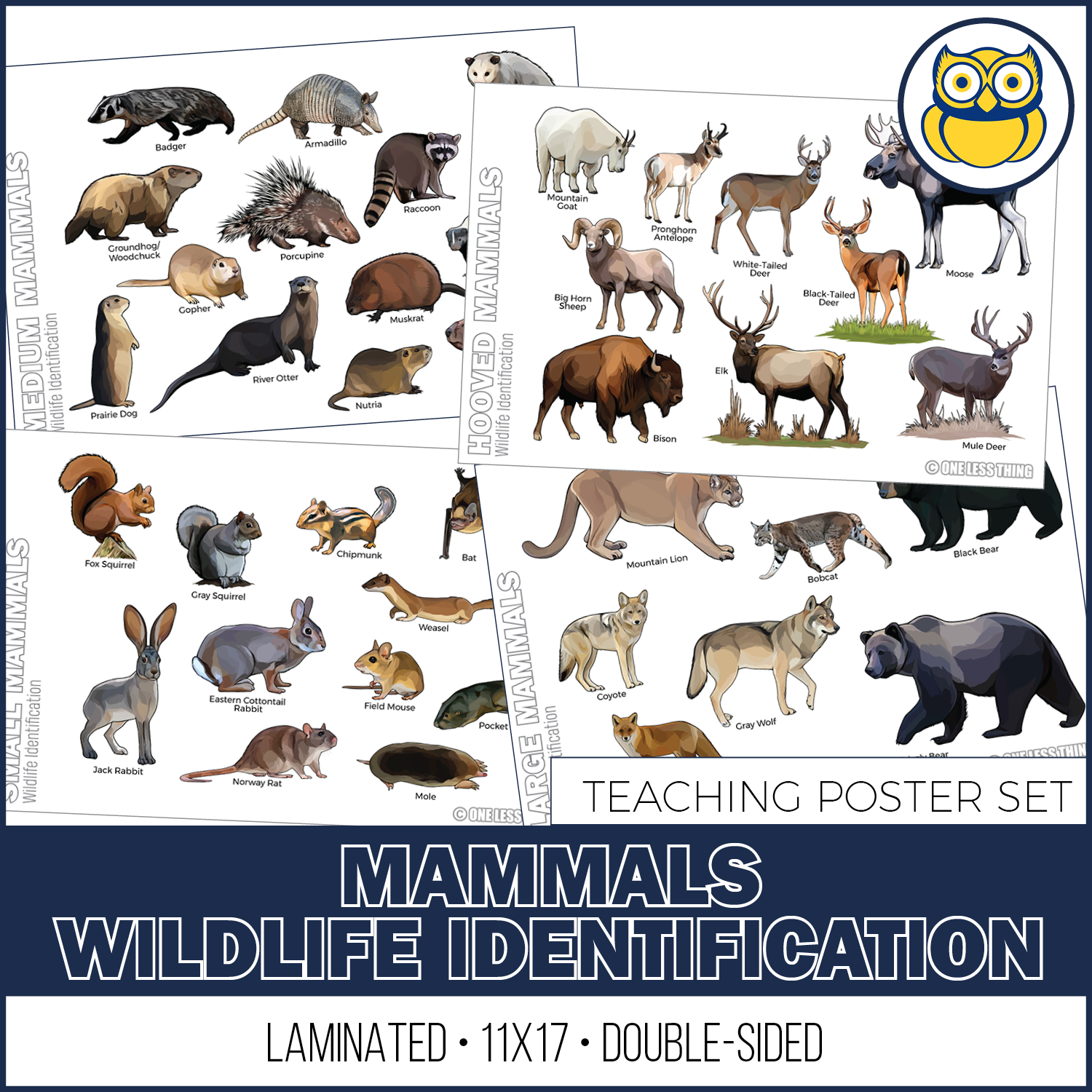 Wildlife ID Mammals Posters, Set of 4 – One Less Thing