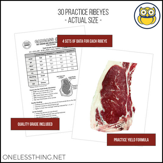 Beef Yield ID Sets – One Less Thing