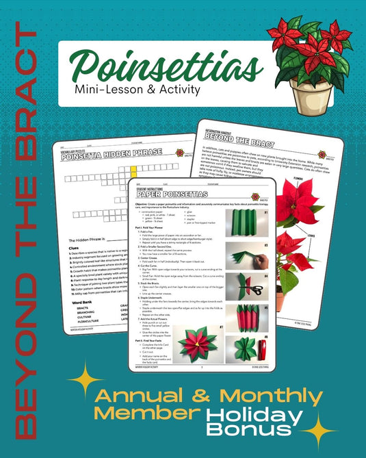And Another Thing SPECIAL EDITION, Poinsettias (ANNUAL)