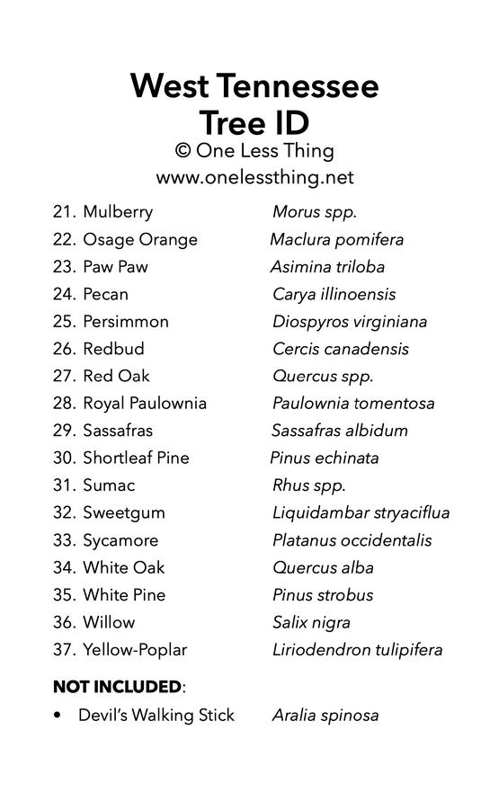 West Tennessee Tree ID, IDPix Cards