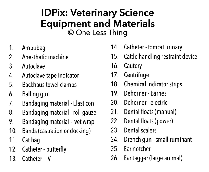 Load image into Gallery viewer, Veterinary Tools and Equipment ID, IDPix Cards
