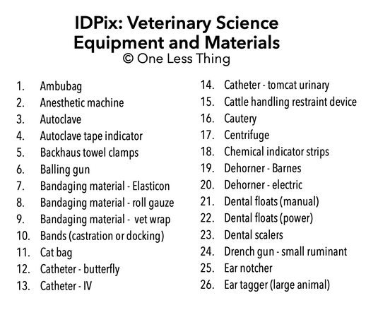 Veterinary Tools and Equipment ID, IDPix Cards