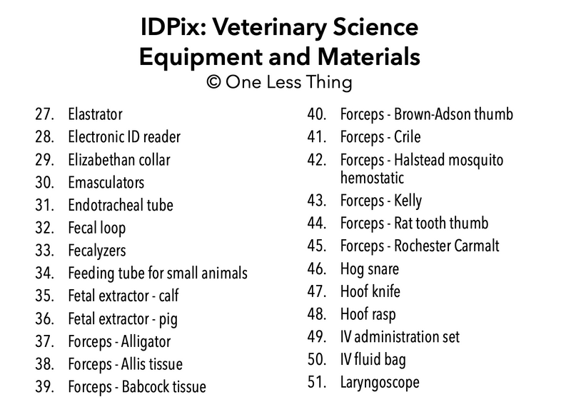 Load image into Gallery viewer, Veterinary Tools and Equipment ID, IDPix Cards
