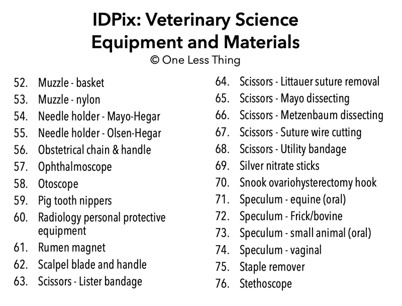 Load image into Gallery viewer, Veterinary Tools and Equipment ID, IDPix Cards
