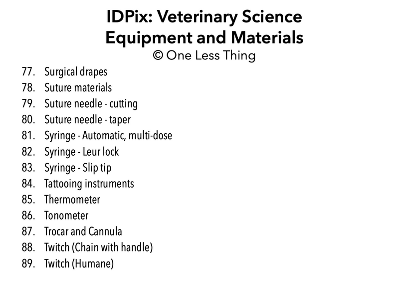 Load image into Gallery viewer, Veterinary Tools and Equipment ID, IDPix Cards
