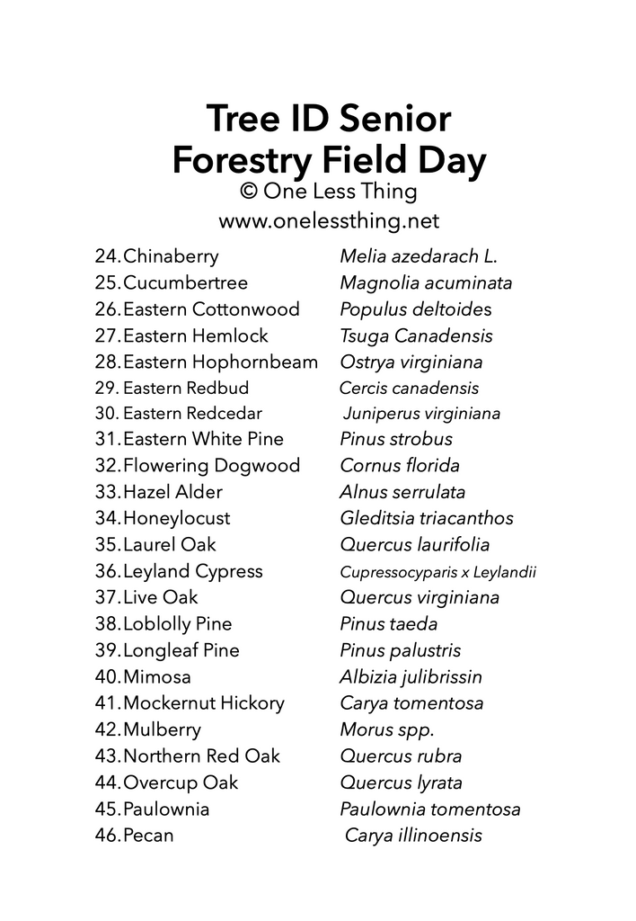 Forestry Field Day Senior Tree ID, IDPix Cards