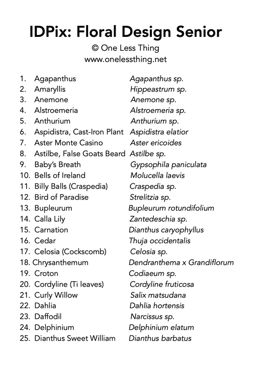 Floral Design ID Senior, IDPix Cards