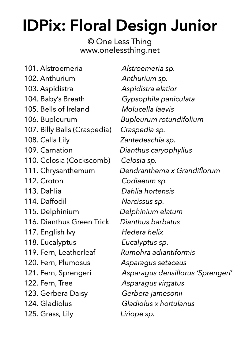 Load image into Gallery viewer, Floral Design ID Junior, IDPix Cards
