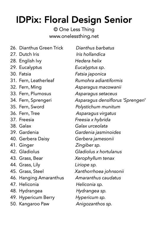 Floral Design ID Senior, IDPix Cards