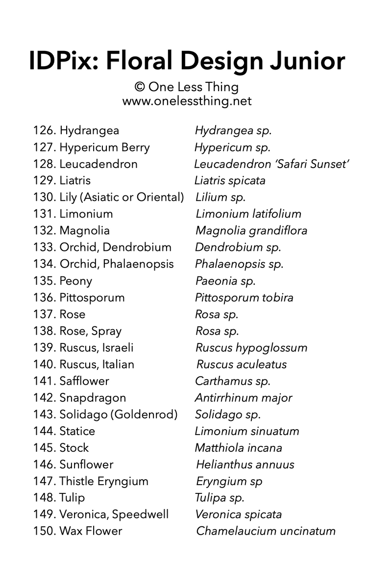 Load image into Gallery viewer, Floral Design ID Junior, IDPix Cards
