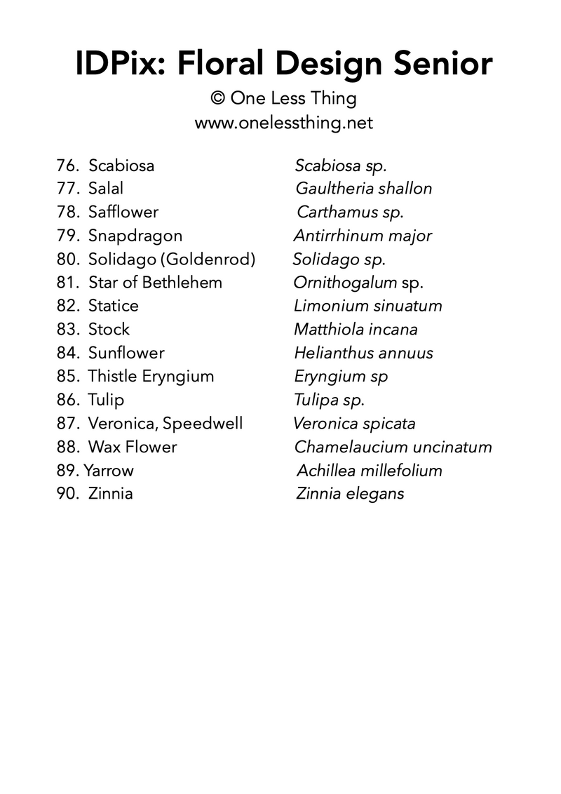 Load image into Gallery viewer, Floral Design ID Senior, IDPix Cards
