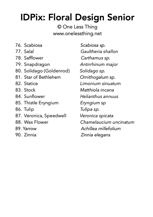 Floral Design ID Senior, IDPix Cards