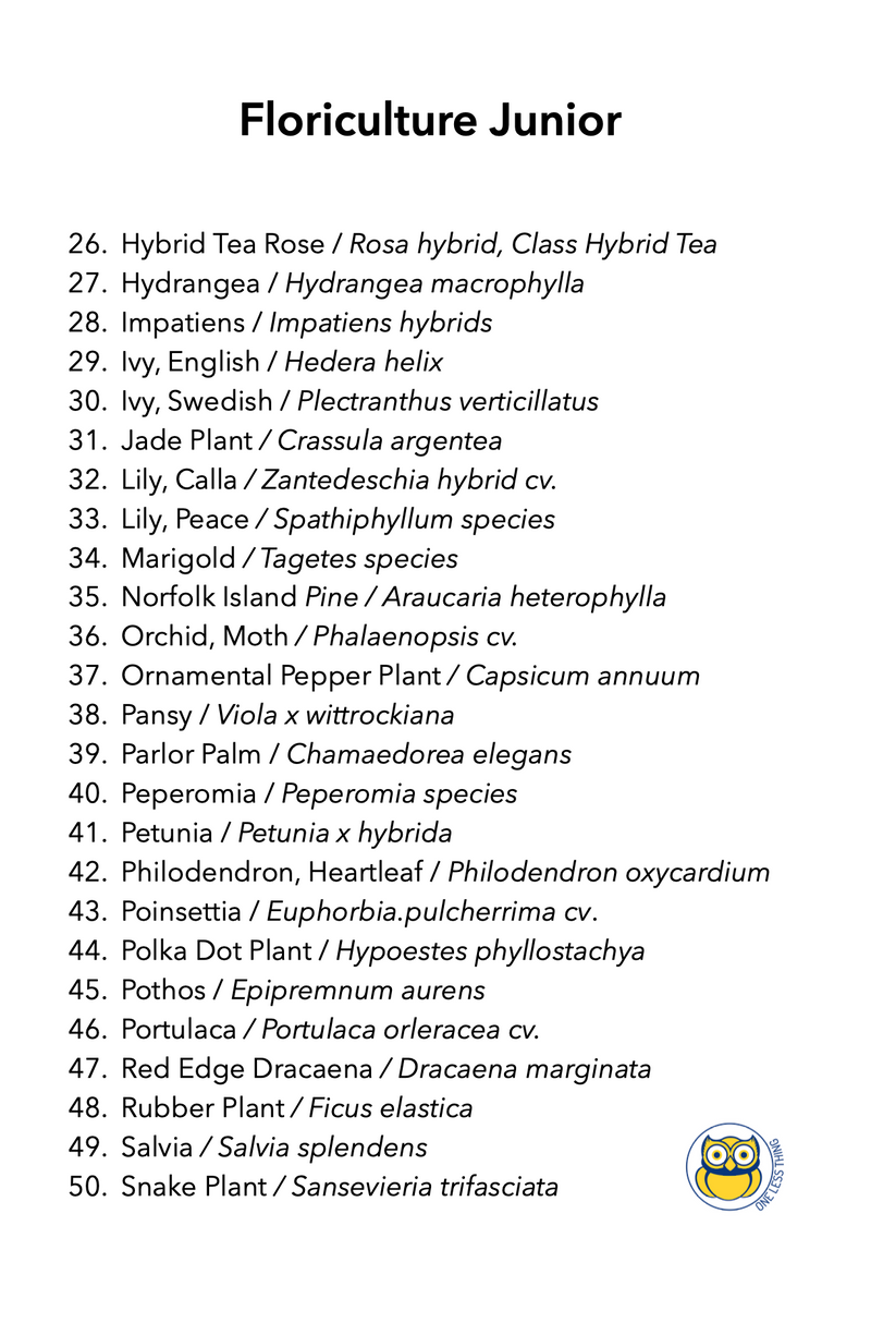Load image into Gallery viewer, Floriculture ID Junior, IDPix Cards
