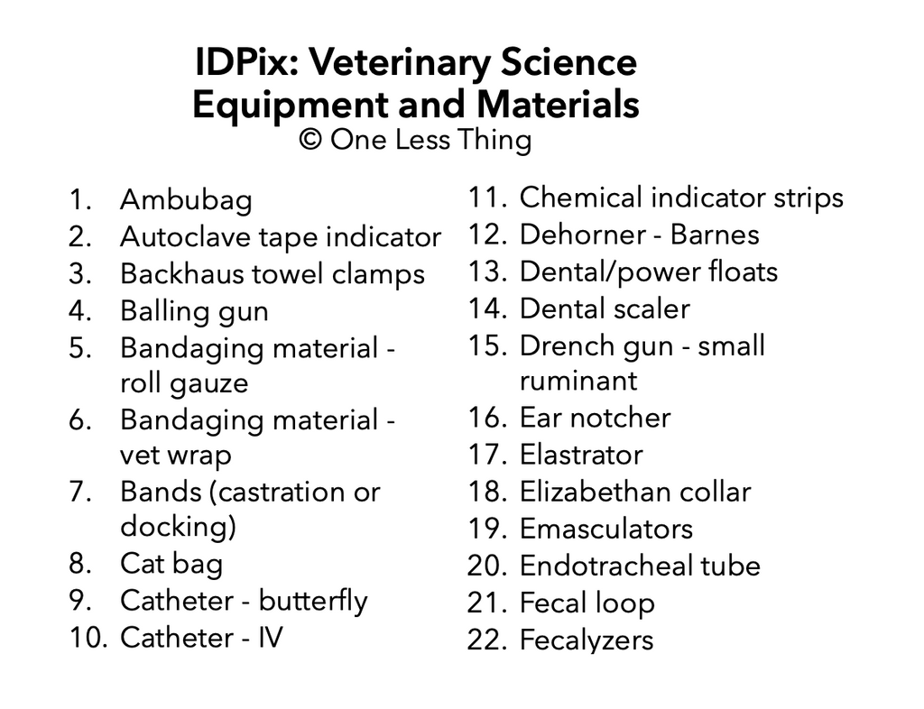 Veterinary Tools and Equipment ID, IDPix Cards