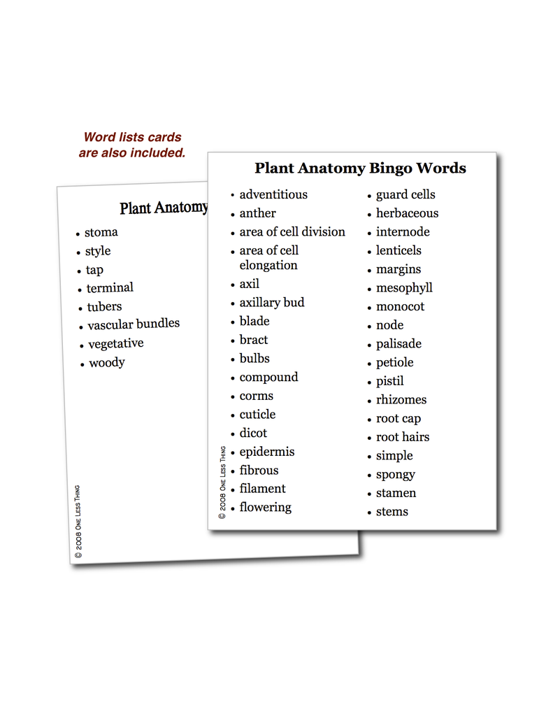 Plant Anatomy, Bingo Download Only