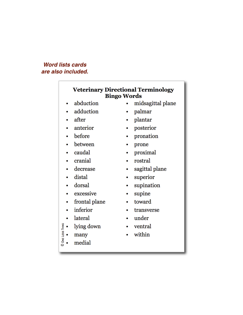Vet Directional Terminology, Bingo Download Only