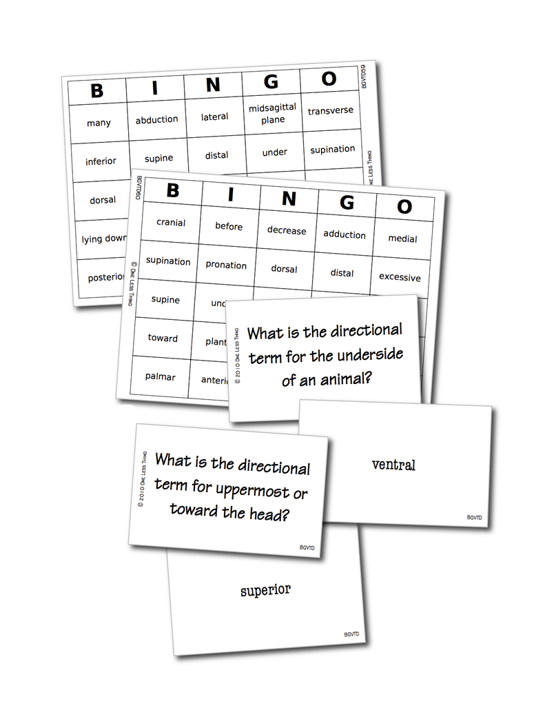 Vet Directional Terminology, Bingo Download Only