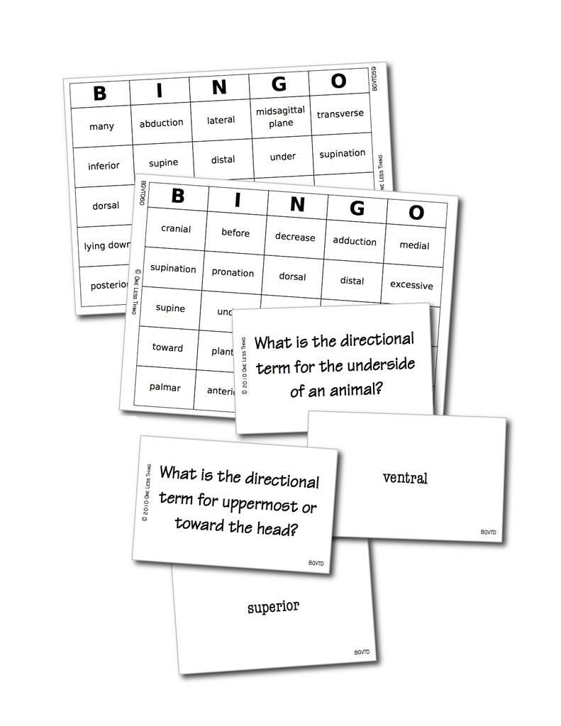 Load image into Gallery viewer, Vet Directional Terminology, Bingo Download Only
