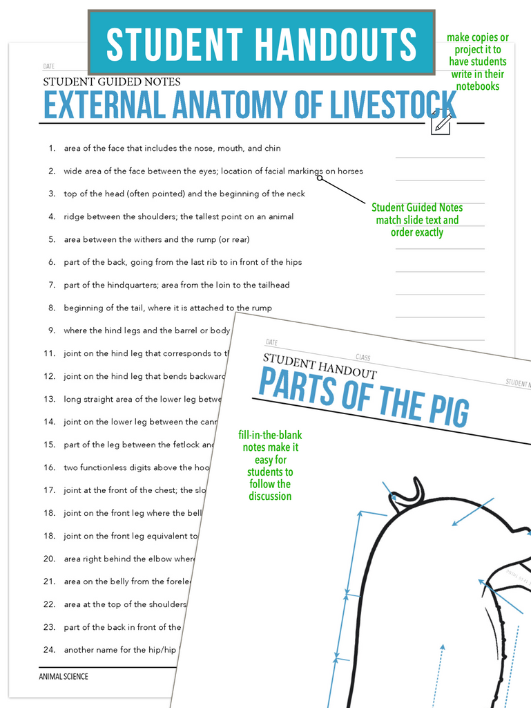CCANS03.2 External Anatomy of Livestock, Animal Science Complete Curriculum