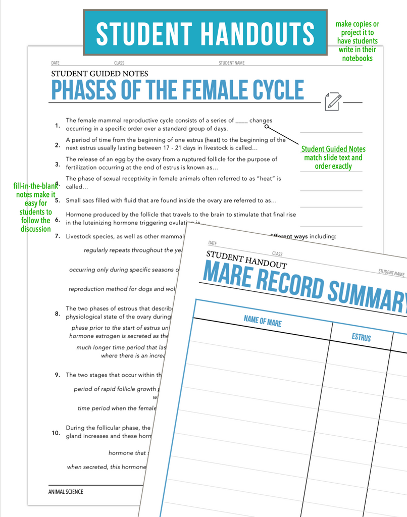 CCANS11.2 Phases of the Female Cycle, Animal Science Complete Curriculum