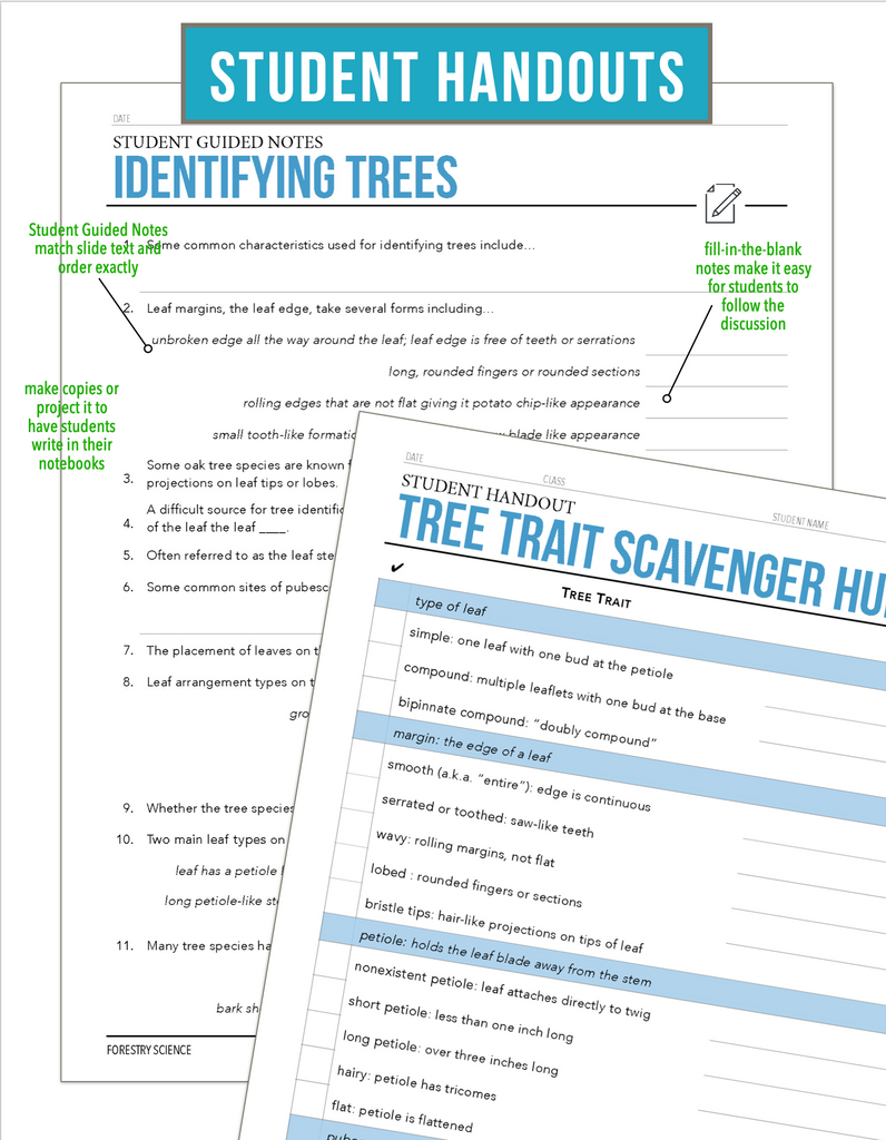 CCFOR03.2 Identifying Trees, Forestry Complete Curriculum