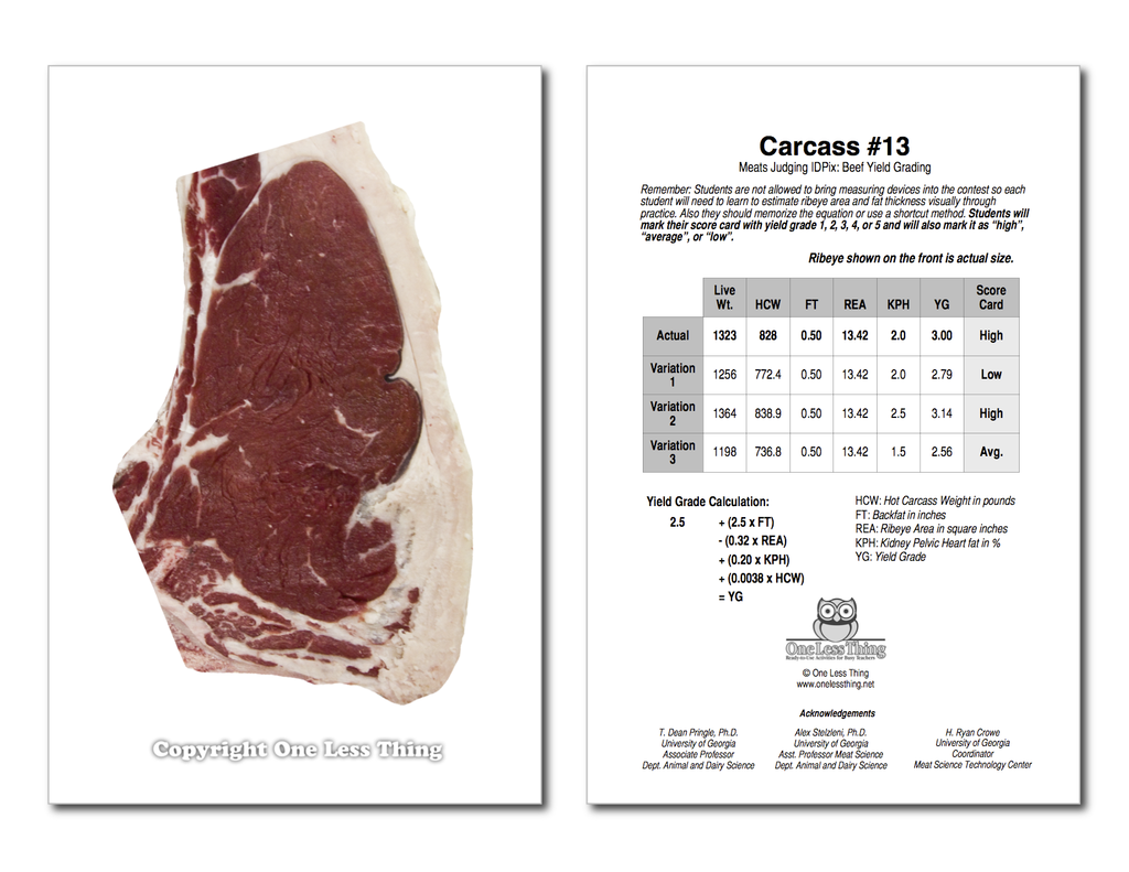 Beef Yield Grading, IDPix Cards