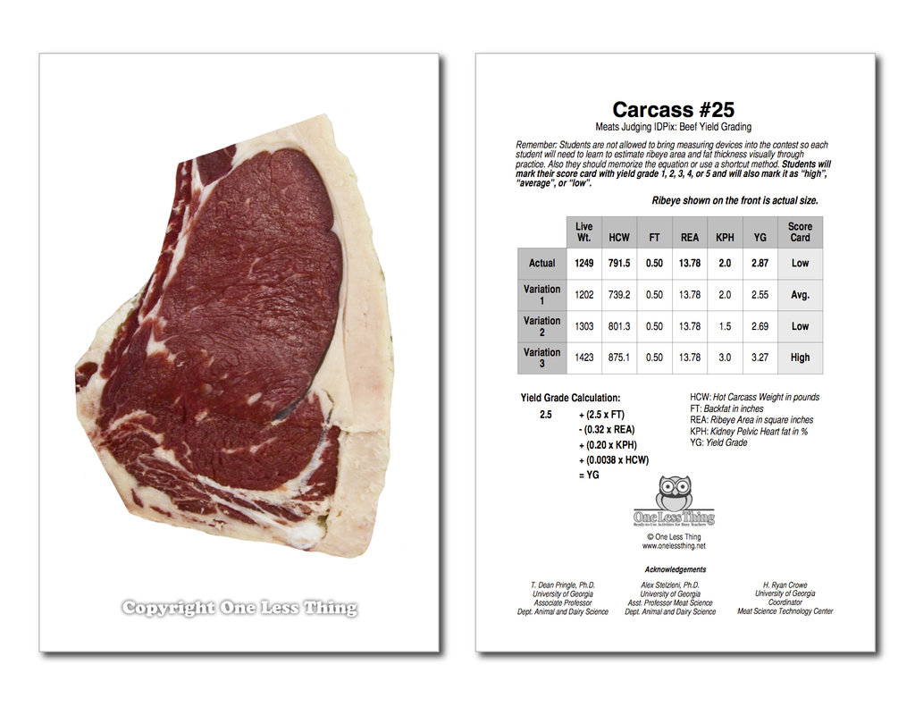 Beef Yield Grading, IDPix Cards