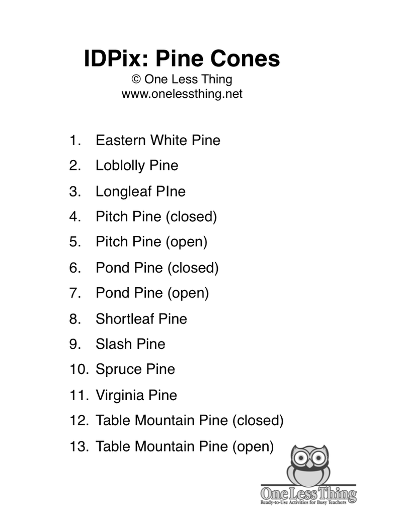 Pine Cone ID, IDPix Cards