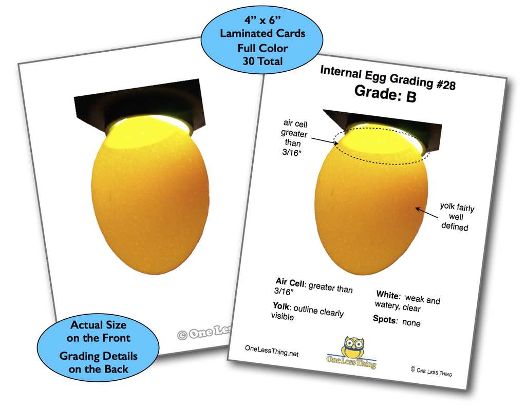Interior Egg Grading, Poultry CDE Cards