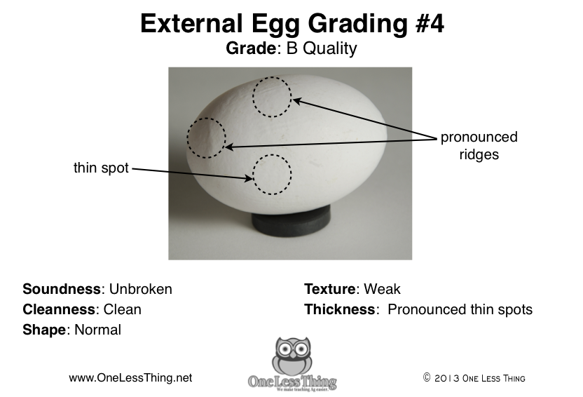 External Egg Grading, Poultry CDE Cards
