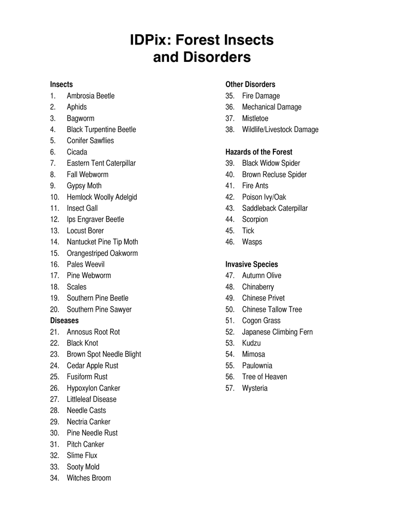 Forestry Insects and Disorders ID, PowerPoint Downloads