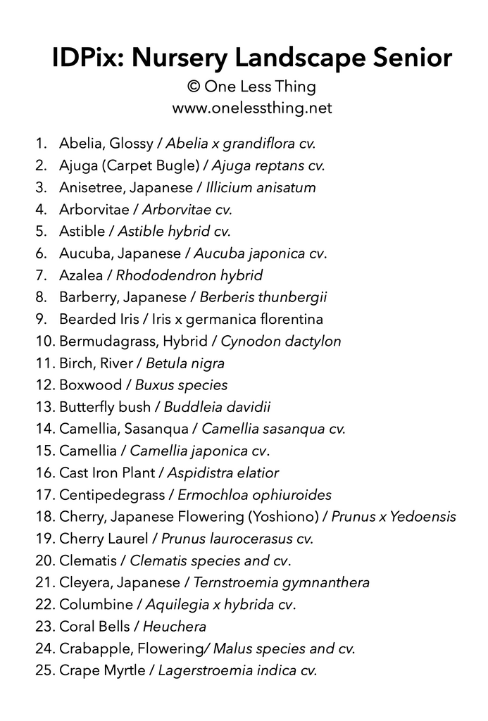 Nursery Landscape ID, PowerPoint Downloads