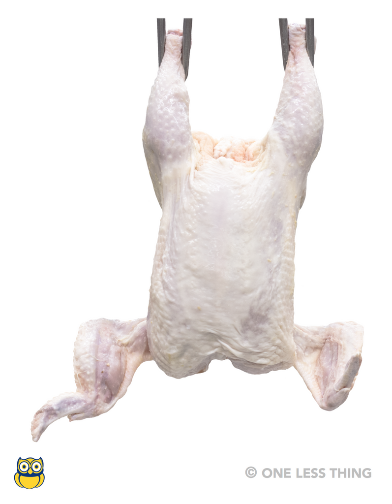 Poultry Carcass Grading (Newly Revised), IDPix Cards