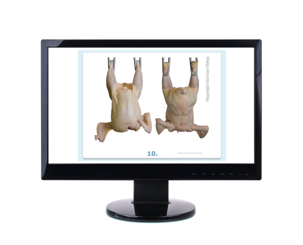 Poultry Judging Carcass Grading Practice, PowerPoint Downloads