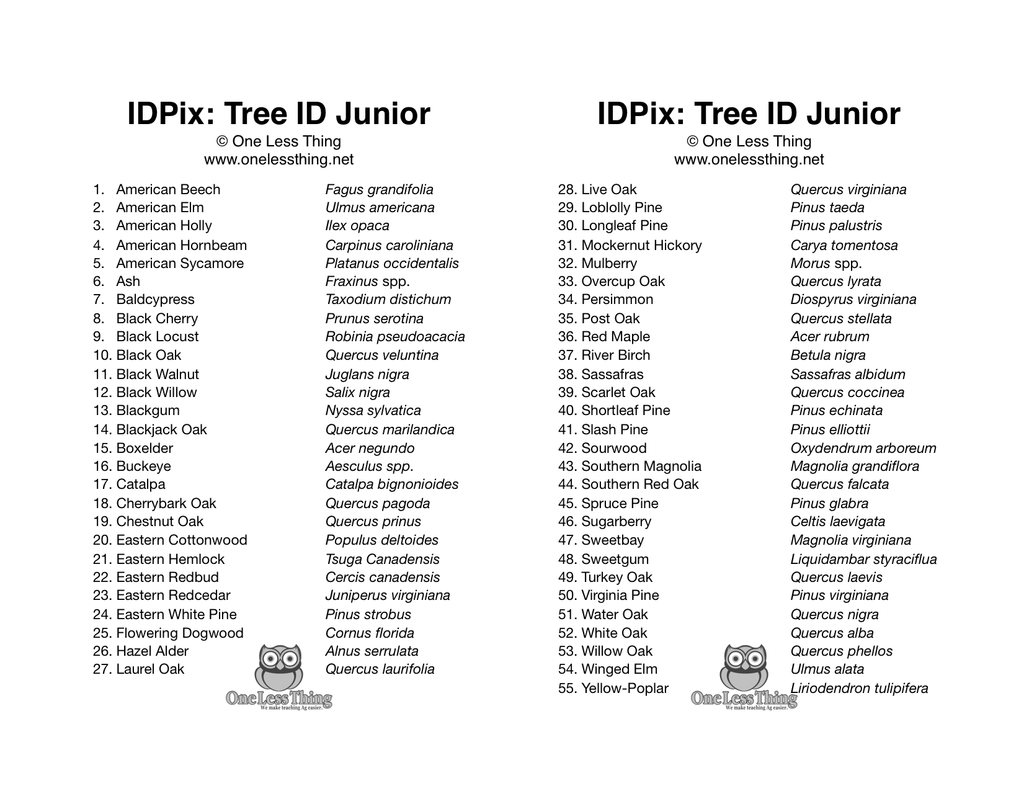 Forestry Field Day Tree ID Junior, IDPix Cards