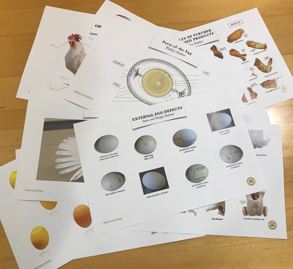 Poultry Science Poultry Science Posters, Set of 11 - One Less Thing
