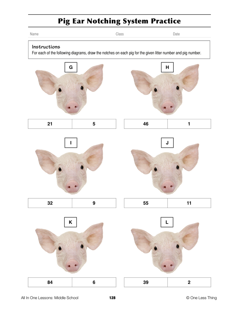 Load image into Gallery viewer, 6-11 Animal ID Systems, Lesson Plan Download
