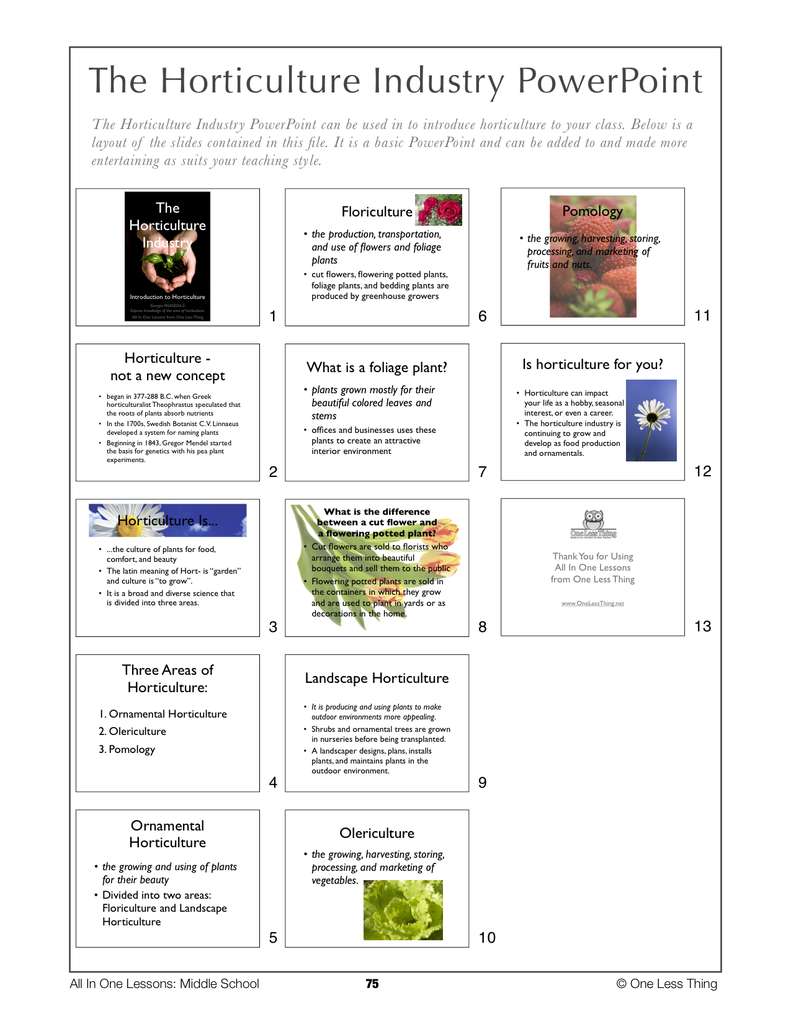 6-07 The Horticulture Industry, Lesson Plan Download