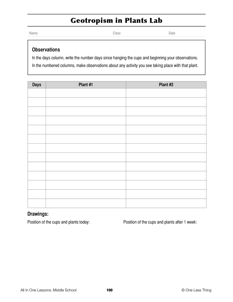 8-09 Plant Growth, Lesson Plan Download